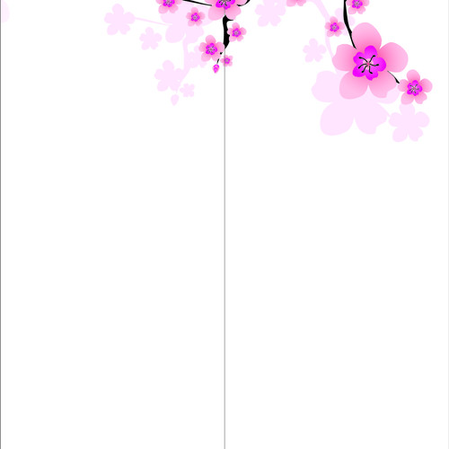 Sakura 30